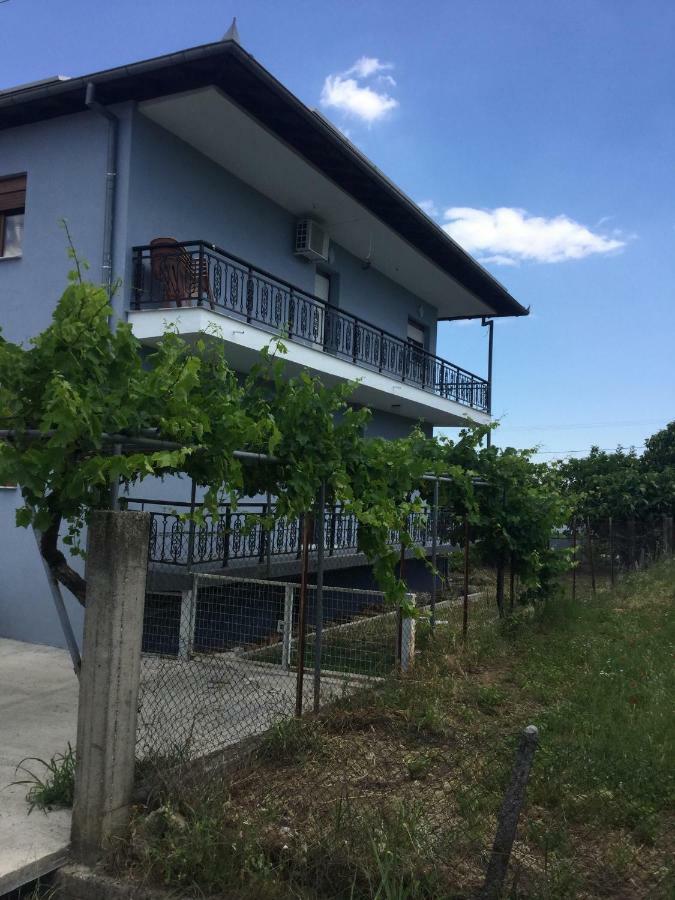 Apartmán Mario'S House Vergina Exteriér fotografie